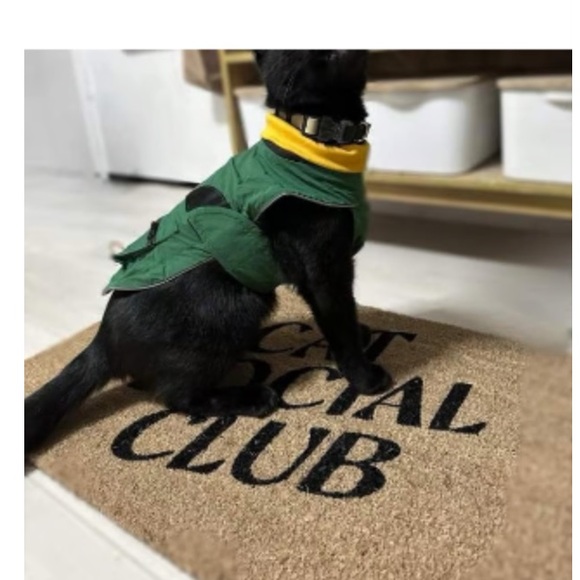Dog and Cat Sporty Tech Cargo Jacket - The Cuddle Collab with Baloo & Pan
 - Picture 4 of 12